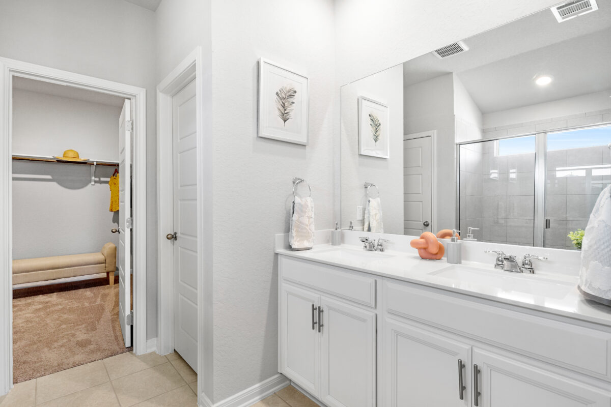 Main bathroom with view of mirror, countertop and entrance to walk-in closet.