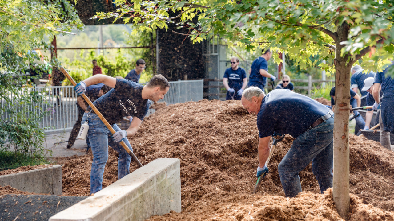 A group of men in matching blue shirts working together shoveling mulch in a park setting.