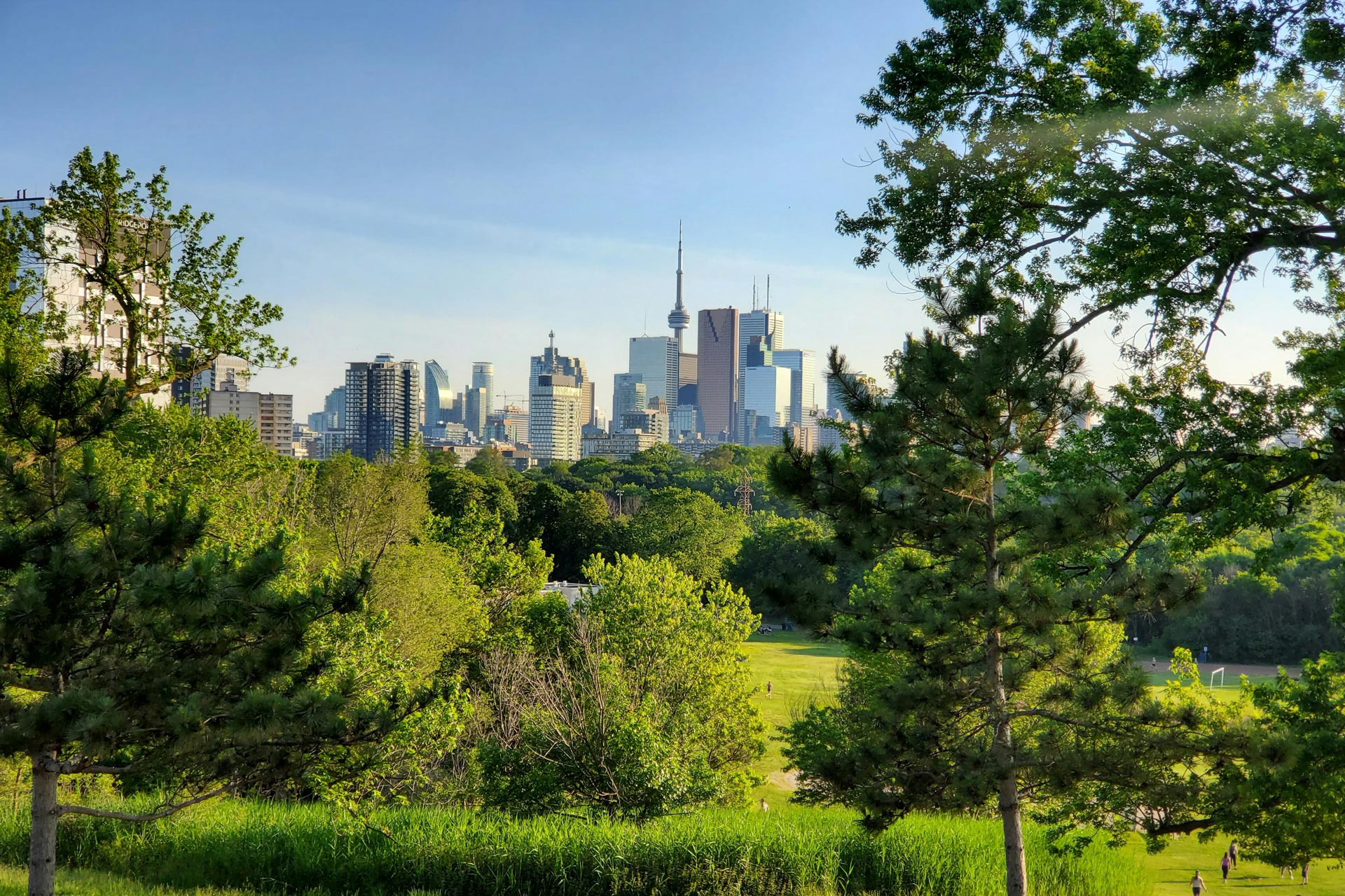 Park view of Toronto