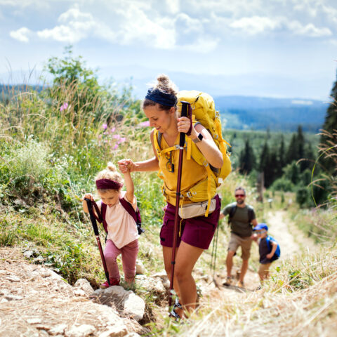 Family with small children hiking outdoors in summer nature, walking in High Tatras.