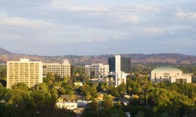 View of palm trees, city buildings and foothills in the distance.