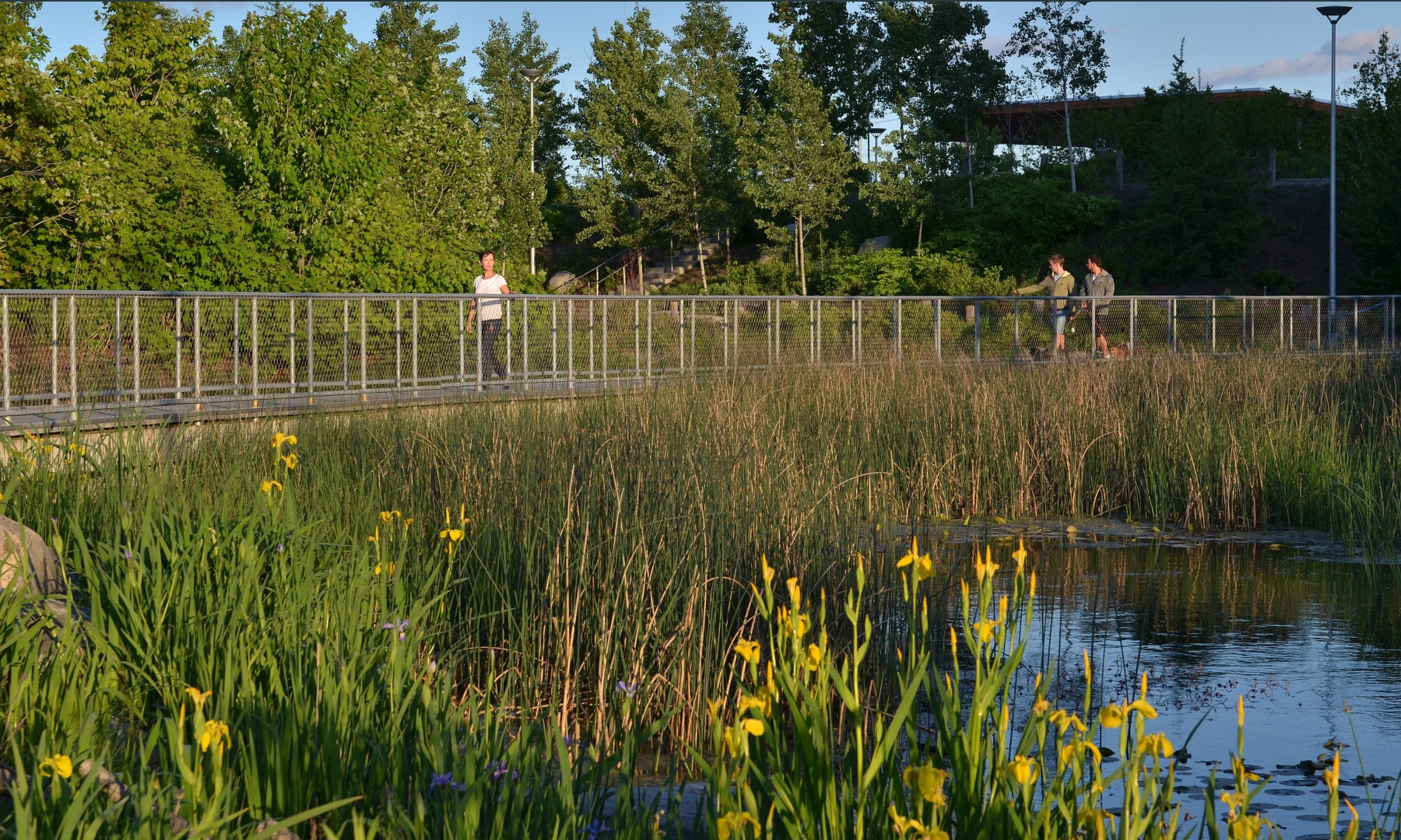 Green space in Toronto