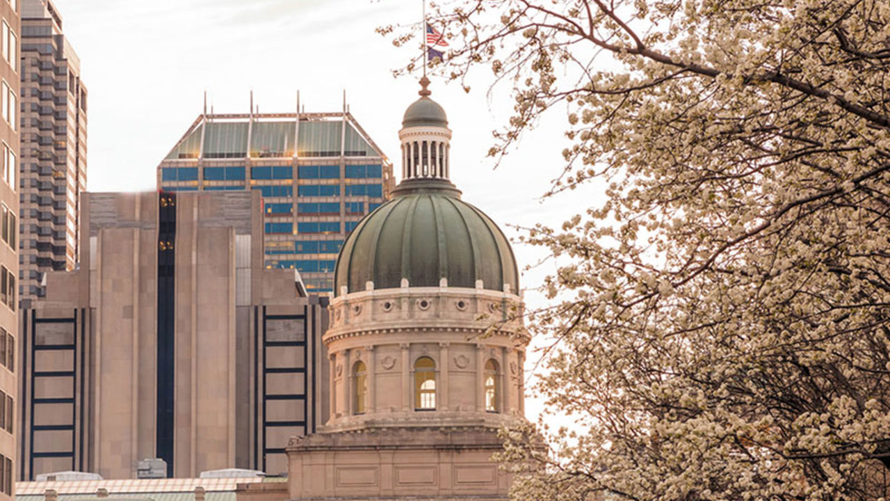 A view of a classic domed building through cherry blossom trees with high-rise buildings in the background.