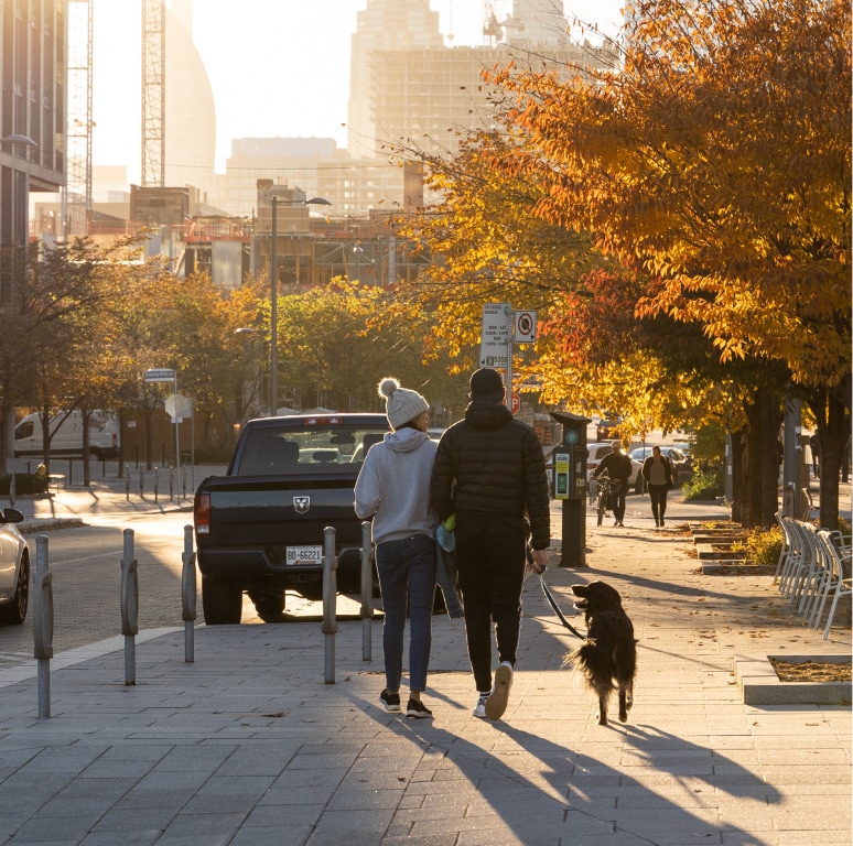 Couple walking in Toronto